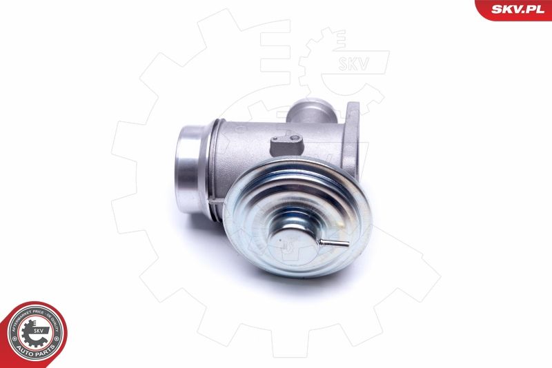 ESEN SKV 14SKV176 EGR Valve