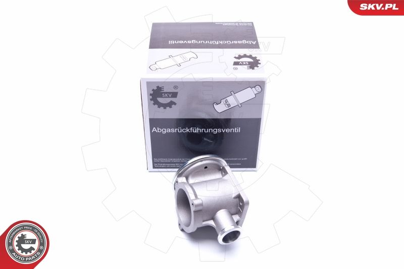 ESEN SKV 14SKV177 EGR Valve