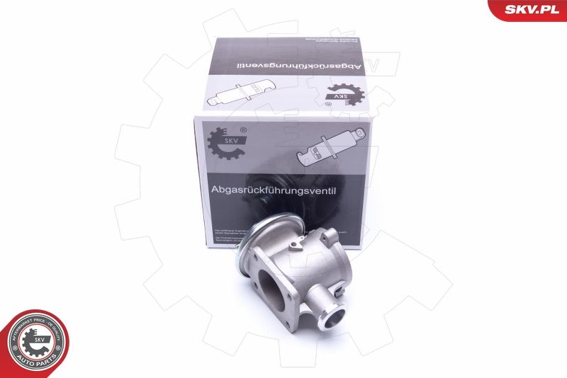 ESEN SKV 14SKV178 EGR Valve