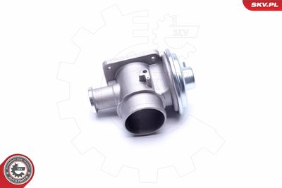 EGR Valve ESEN SKV 14SKV179