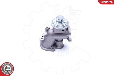 EGR Valve ESEN SKV 14SKV180