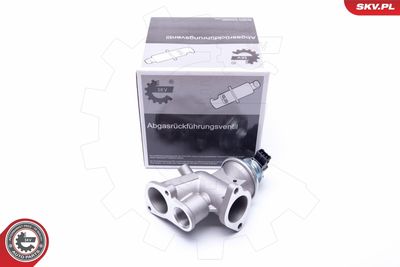 EGR Valve ESEN SKV 14SKV181