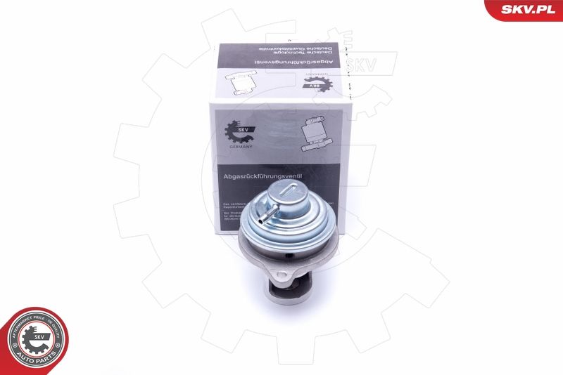 ESEN SKV 14SKV182 EGR Valve