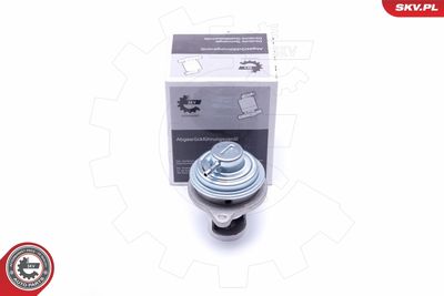 EGR Valve ESEN SKV 14SKV182
