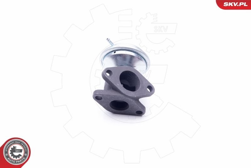 ESEN SKV 14SKV183 EGR Valve