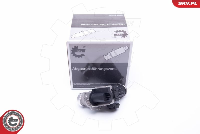 ESEN SKV 14SKV185 EGR Valve