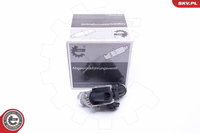 EGR Valve ESEN SKV 14SKV185