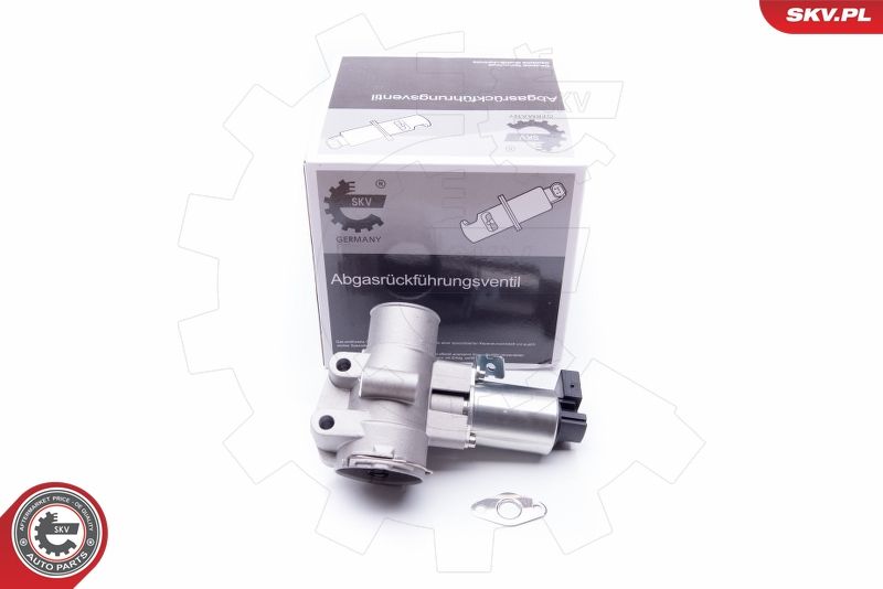 ESEN SKV 14SKV186 EGR Valve