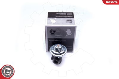 EGR Valve ESEN SKV 14SKV187