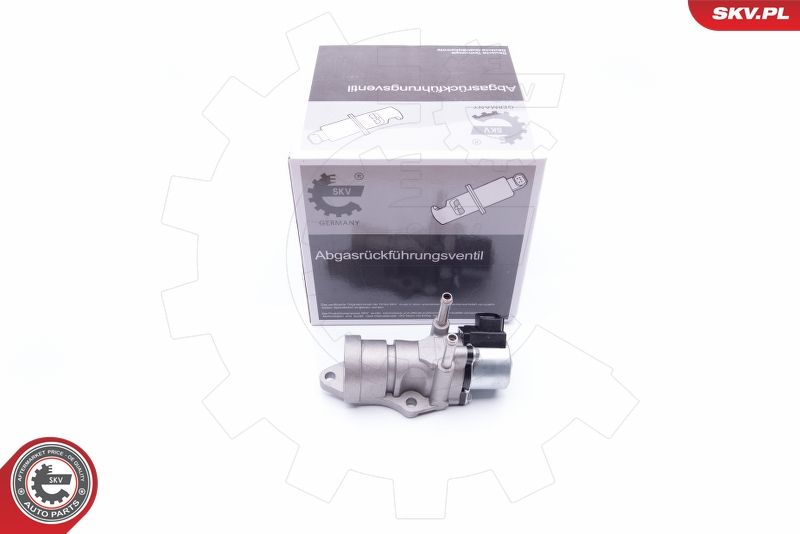 ESEN SKV 14SKV188 EGR Valve