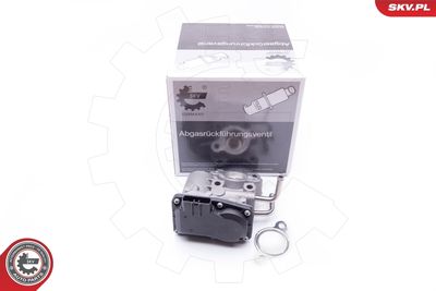 EGR Valve ESEN SKV 14SKV189