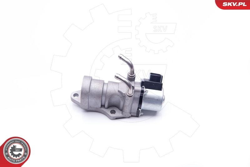 ESEN SKV 14SKV190 EGR Valve