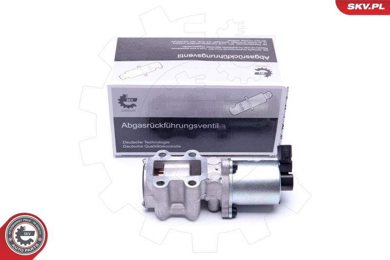 ESEN SKV 14SKV200 EGR Valve