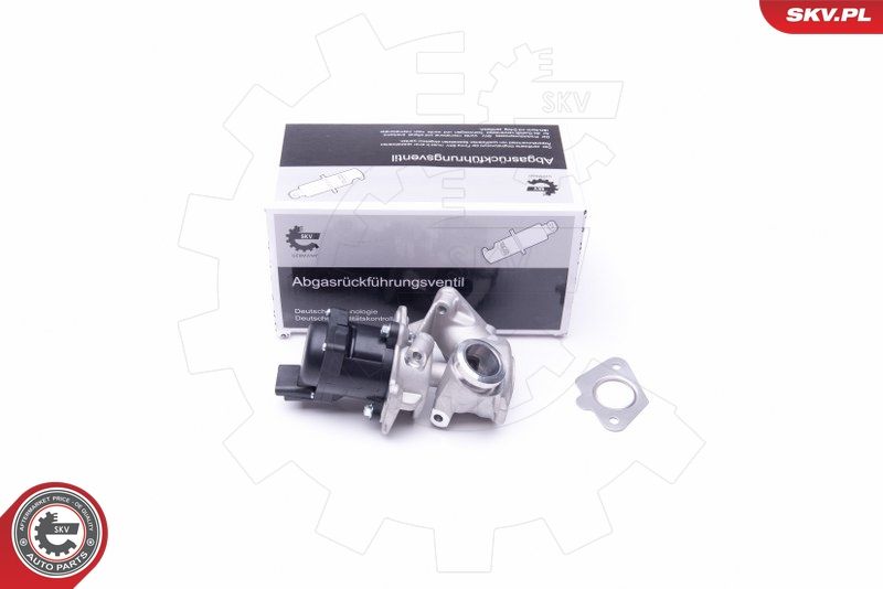 ESEN SKV 14SKV202 EGR Valve