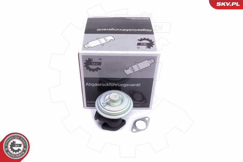 ESEN SKV 14SKV203 EGR Valve