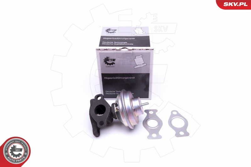 ESEN SKV 14SKV204 EGR Valve