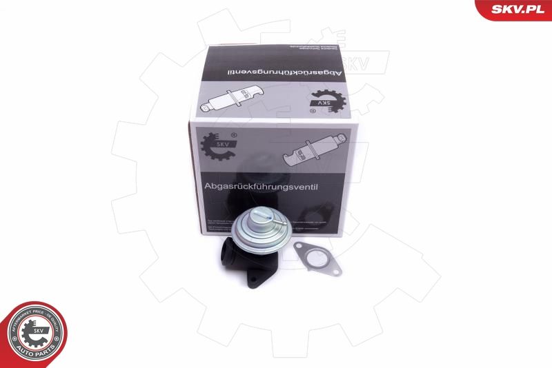 ESEN SKV 14SKV205 EGR Valve