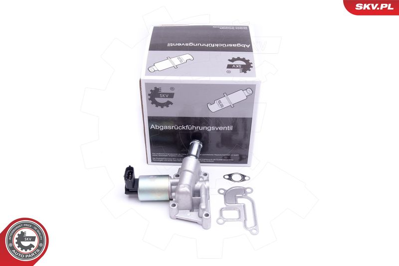 ESEN SKV 14SKV207 EGR Valve