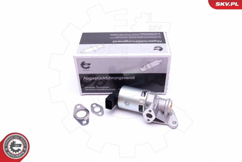 ESEN SKV 14SKV208 EGR Valve