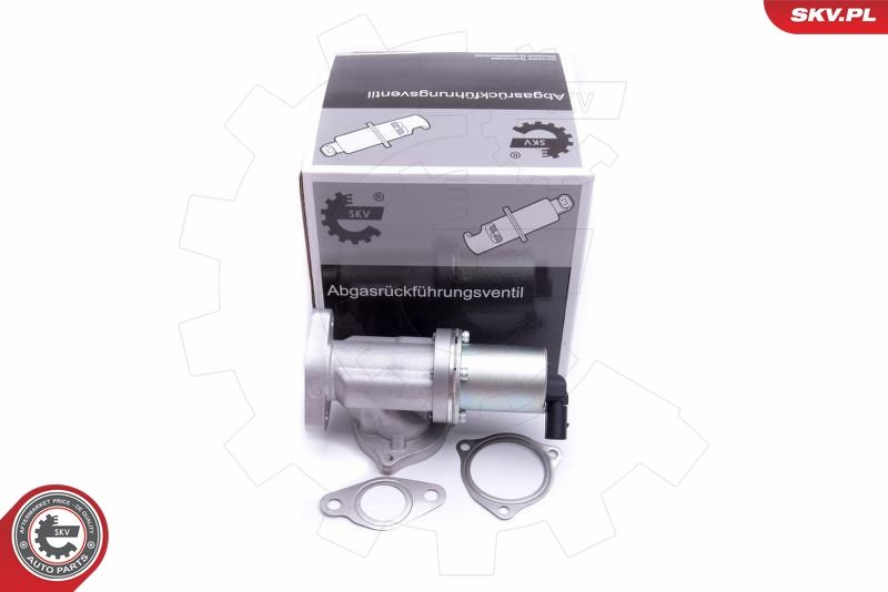 ESEN SKV 14SKV209 EGR Valve