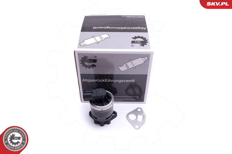 ESEN SKV 14SKV210 EGR Valve