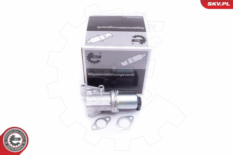 ESEN SKV 14SKV211 EGR Valve