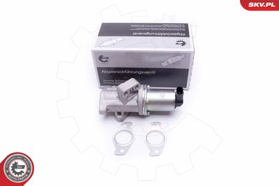 EGR Valve ESEN SKV 14SKV212