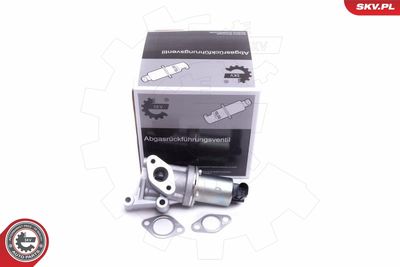 EGR Valve ESEN SKV 14SKV213