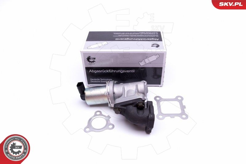 ESEN SKV 14SKV214 EGR Valve