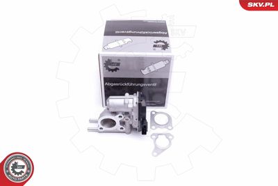 EGR Valve ESEN SKV 14SKV215