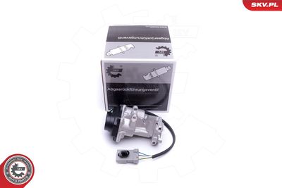 EGR Valve ESEN SKV 14SKV216