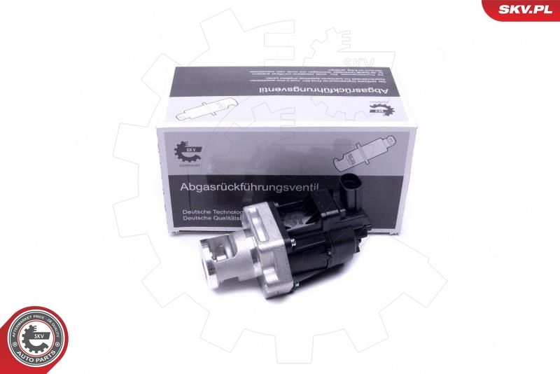 ESEN SKV 14SKV217 EGR Valve