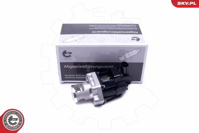 EGR Valve ESEN SKV 14SKV217