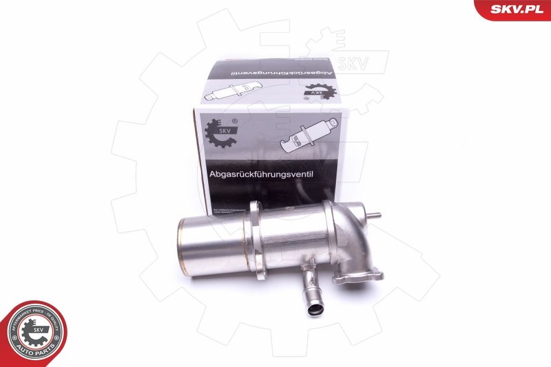 ESEN SKV 14SKV222 EGR Valve
