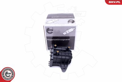 EGR Valve ESEN SKV 14SKV231