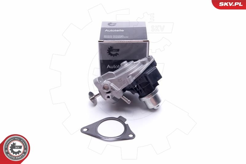 ESEN SKV 14SKV233 EGR Valve