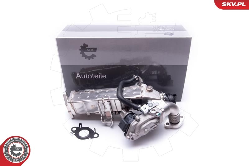 ESEN SKV 14SKV235 EGR Valve