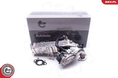 EGR Valve ESEN SKV 14SKV235