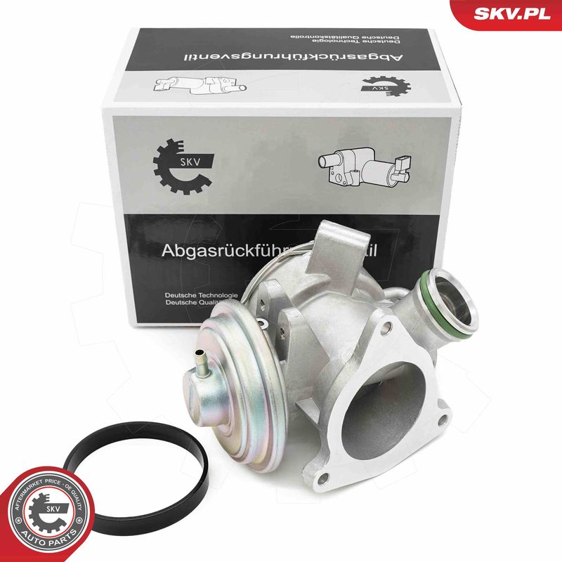 ESEN SKV 14SKV242 EGR Valve