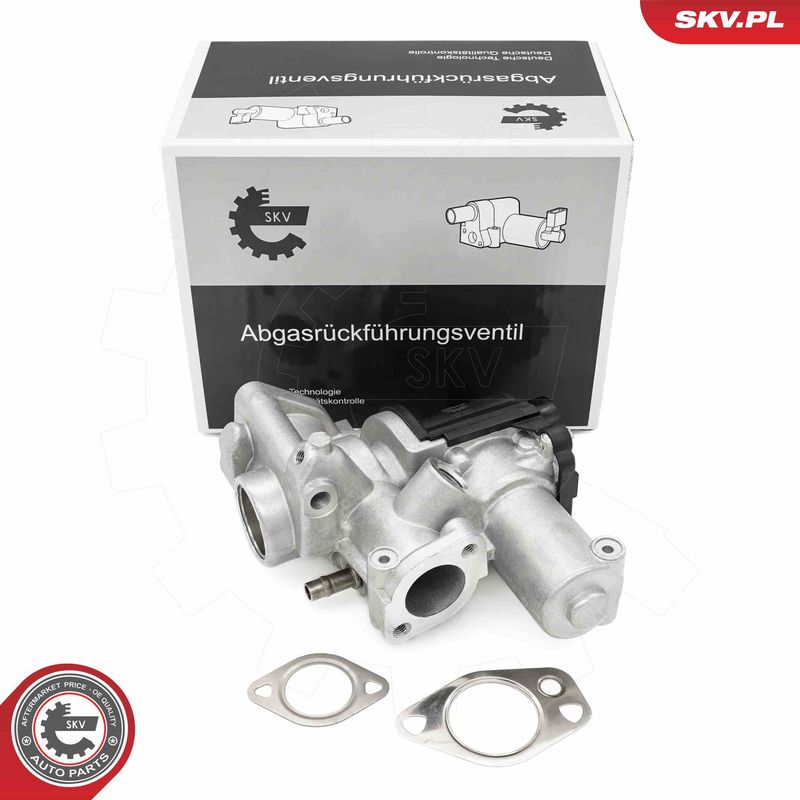 ESEN SKV 14SKV253 EGR Valve
