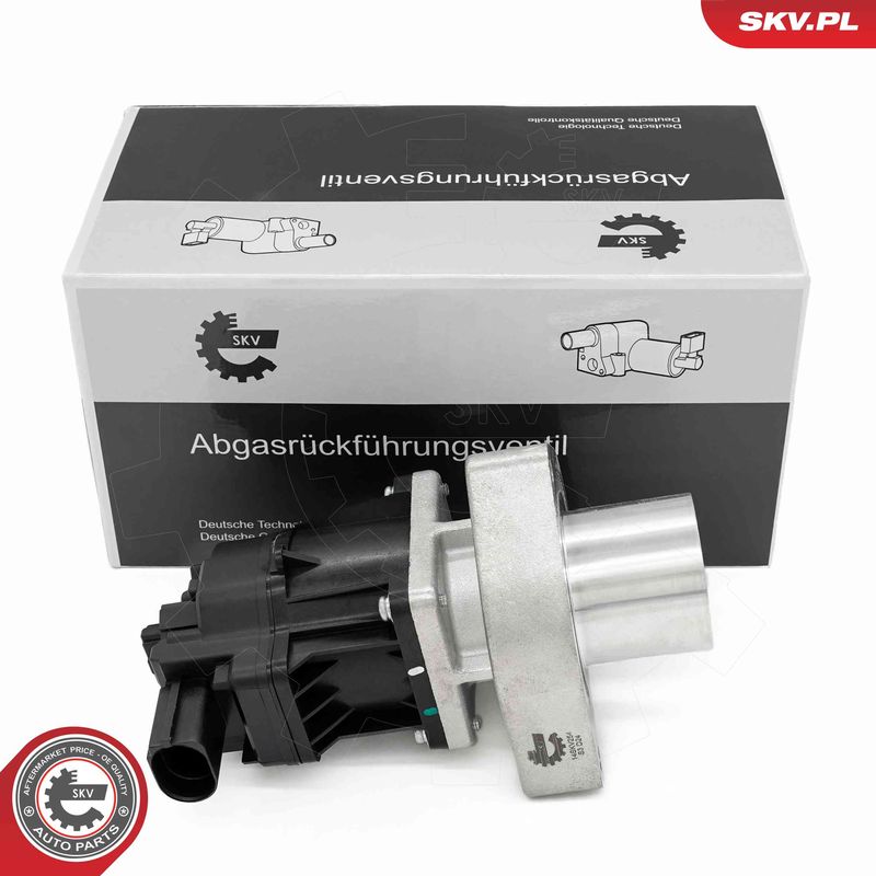 ESEN SKV 14SKV254 EGR Valve