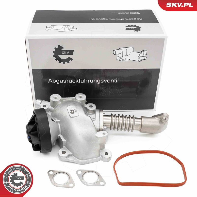 ESEN SKV 14SKV257 EGR Valve