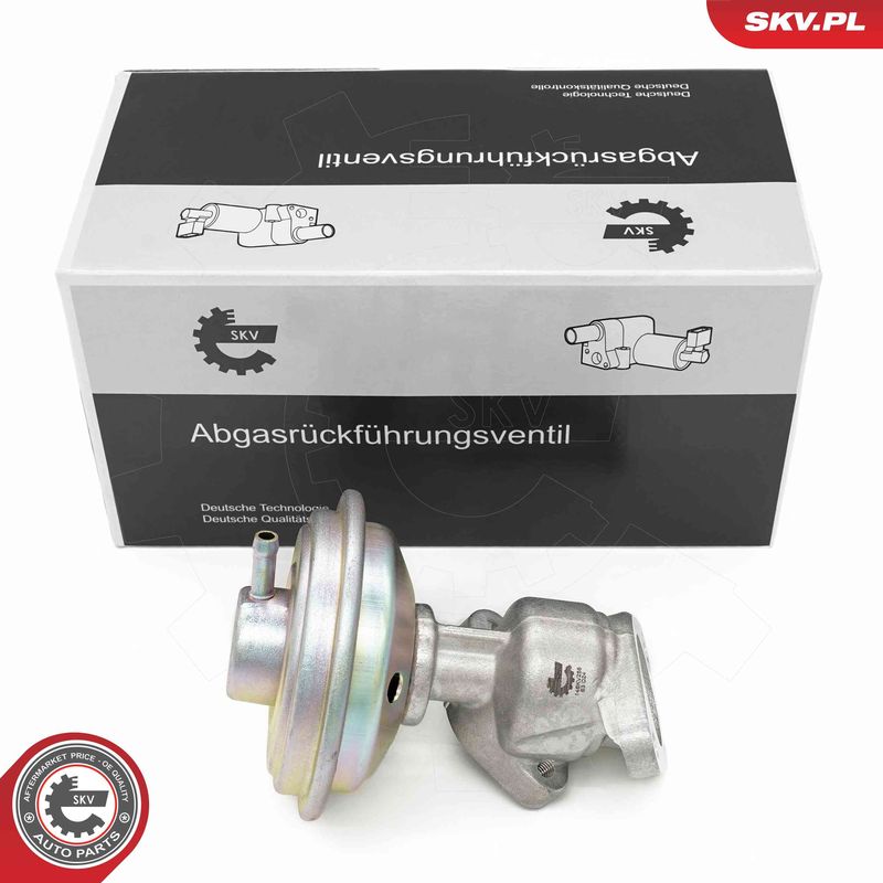 ESEN SKV 14SKV258 EGR Valve