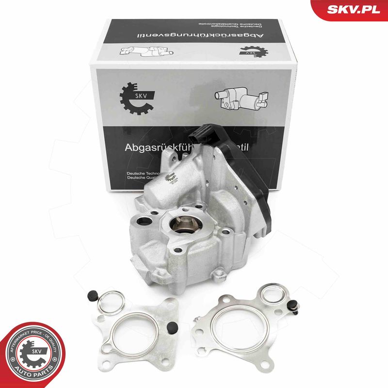 ESEN SKV 14SKV259 EGR Valve