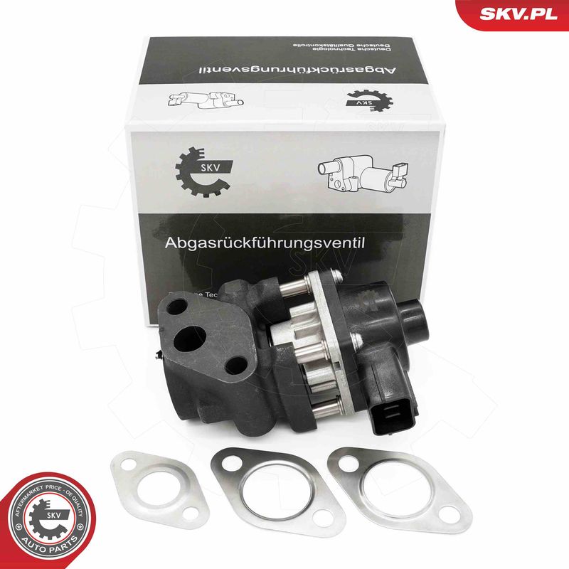 ESEN SKV 14SKV260 EGR Valve
