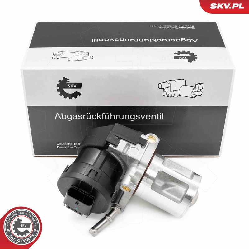 ESEN SKV 14SKV261 EGR Valve