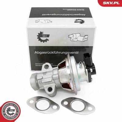 EGR Valve ESEN SKV 14SKV262