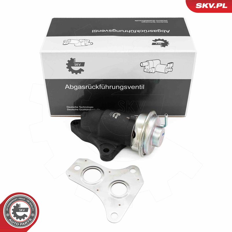 ESEN SKV 14SKV263 EGR Valve