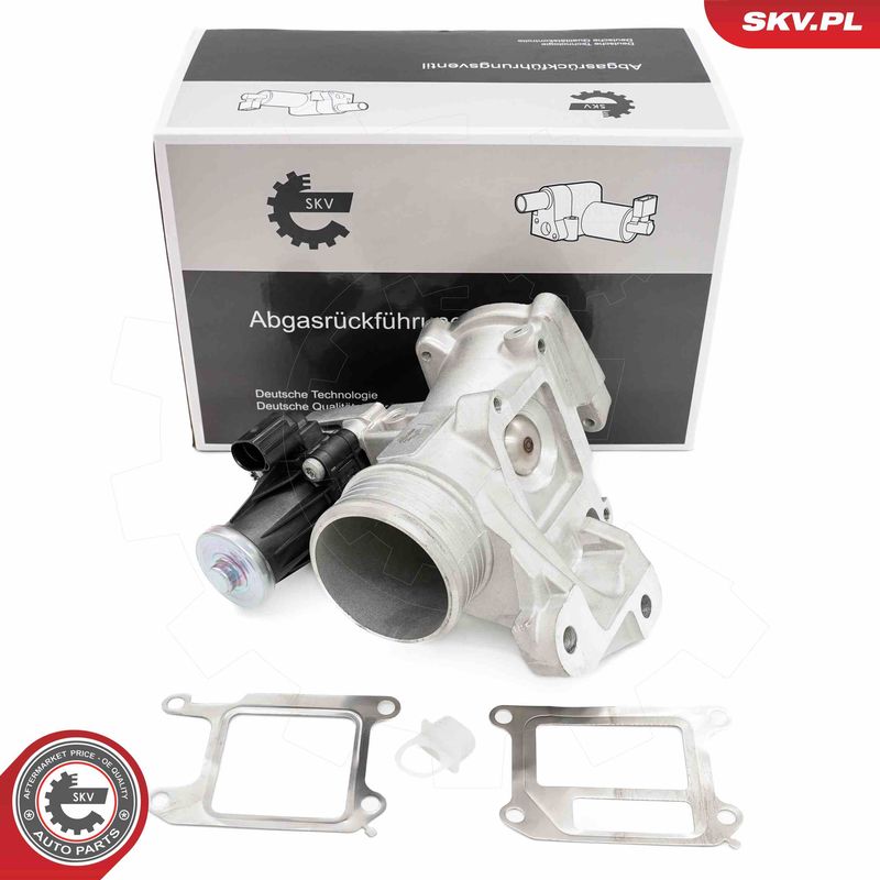 ESEN SKV 14SKV264 EGR Valve