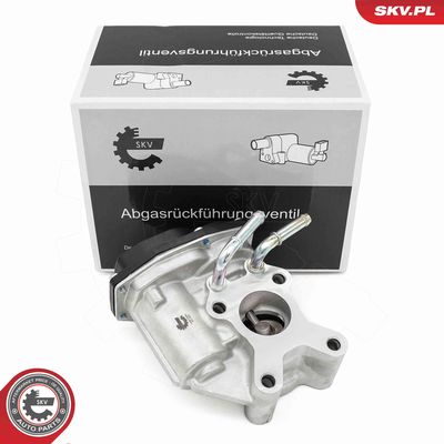 EGR Valve ESEN SKV 14SKV265